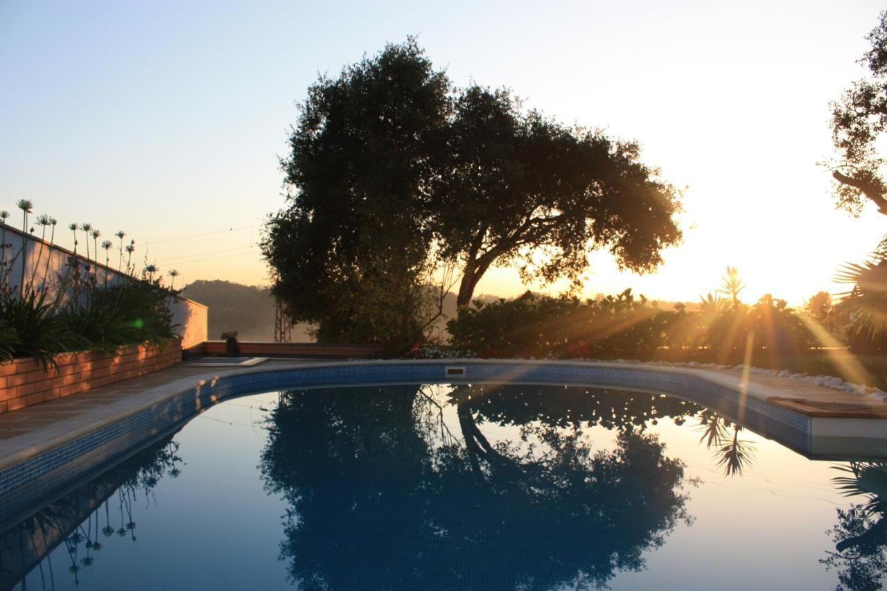 Com O Douro A Vista Bed & Breakfast Jovim Екстериор снимка